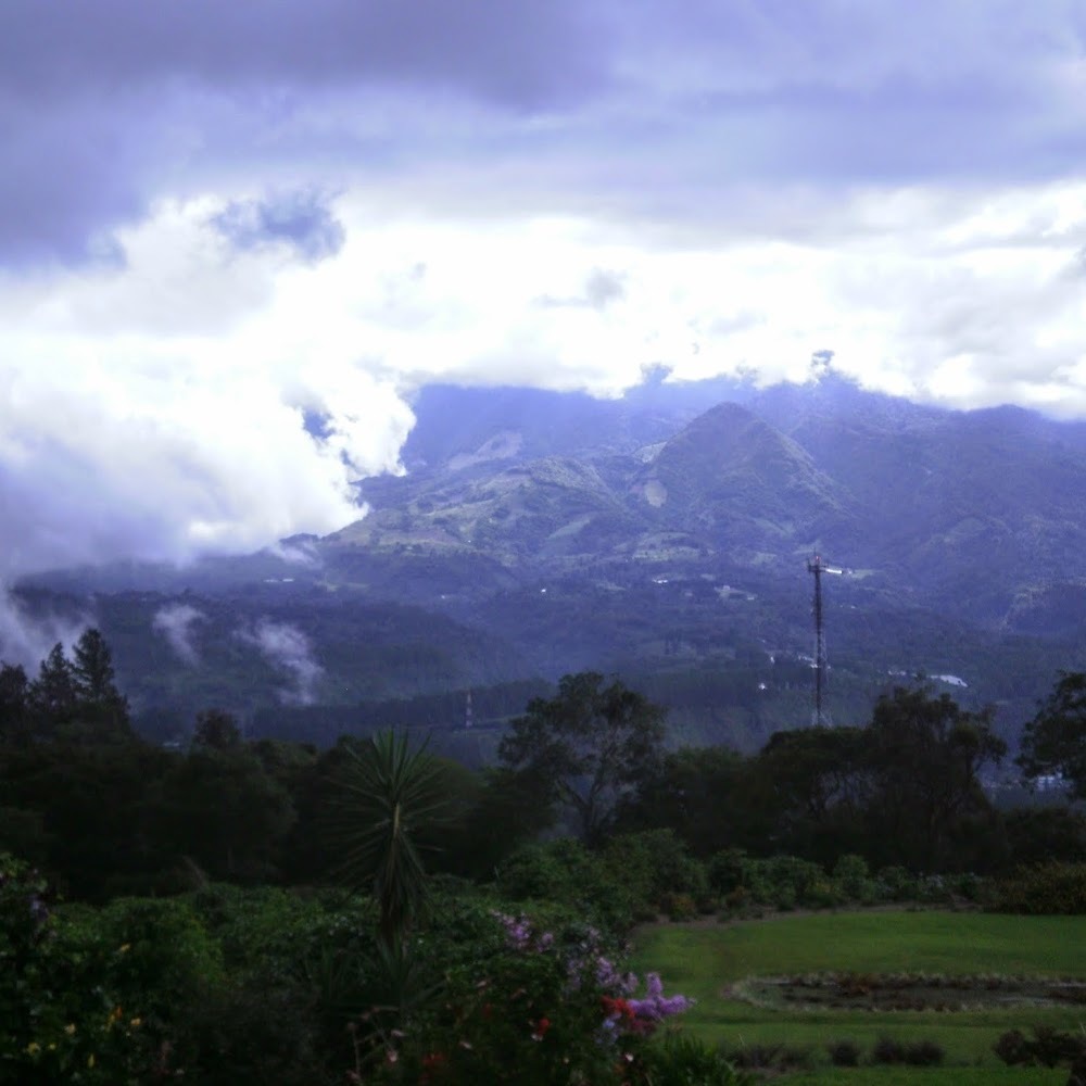 Meet your Posher, Ariel